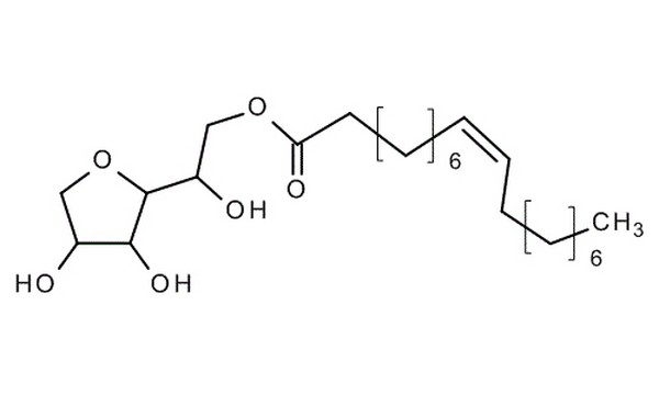 اسپن 80