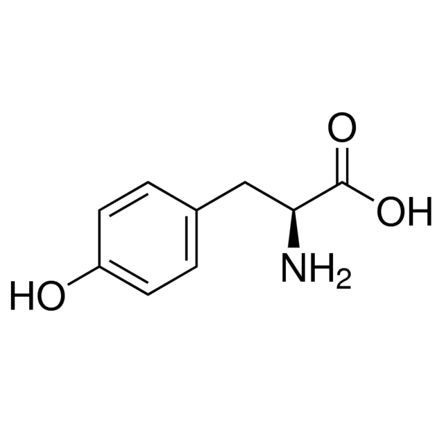 آمینو اسید ال تیروزین (BioUltra)