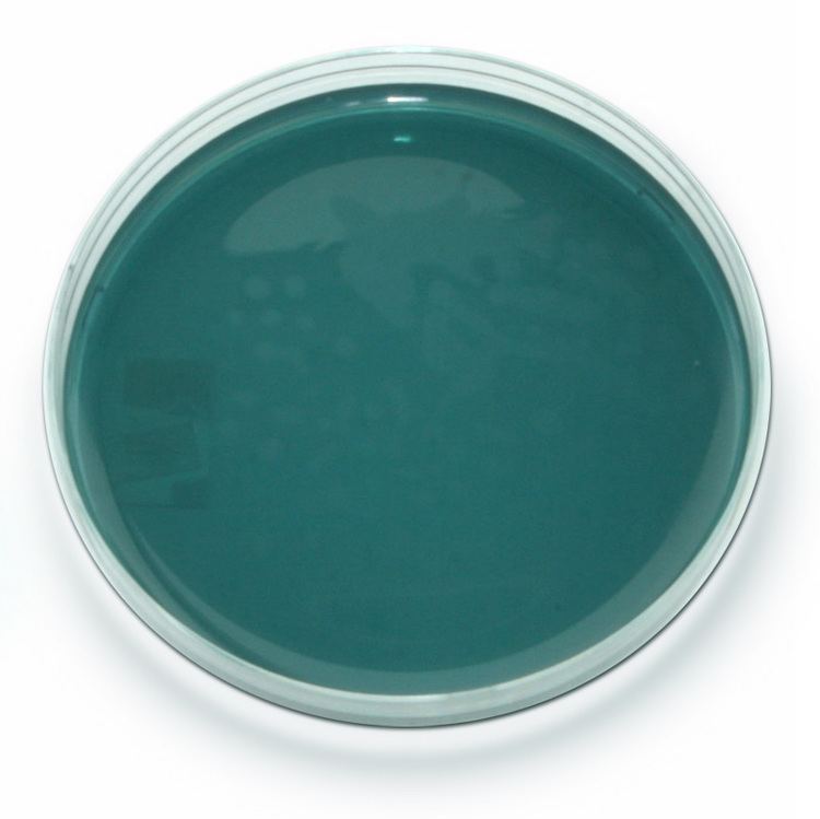 محیط کشت هکتون انتریک آگار for microbiology