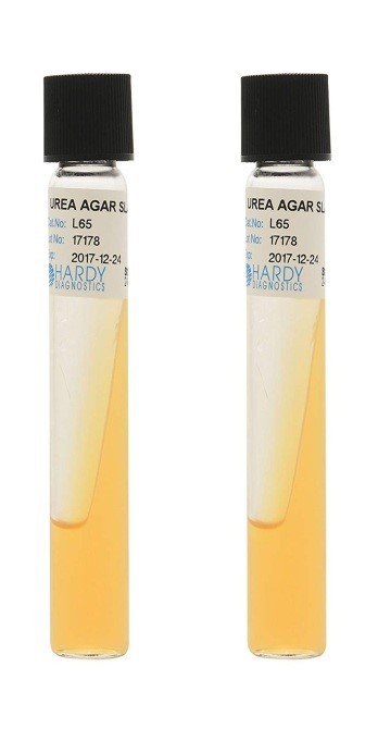 محیط کشت اوره آگار باز(UREA AGAR) کیولب
