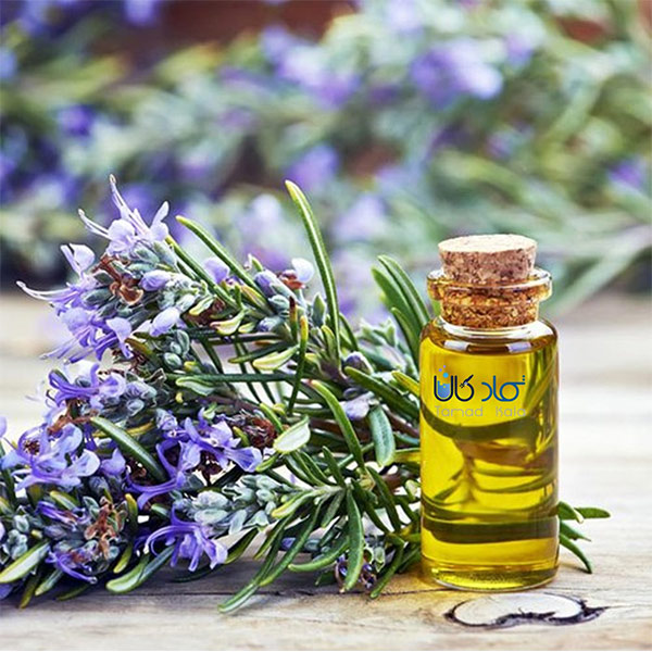 روغن رزماری