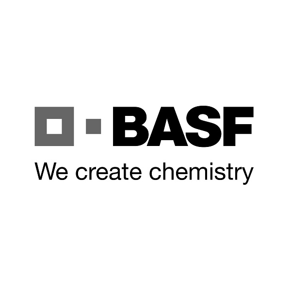 پلی سولفون BASF آلمان