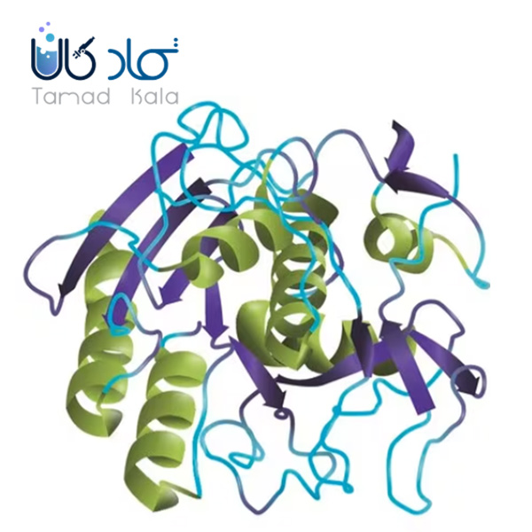 پروتئاز K سیگما- کد P6556